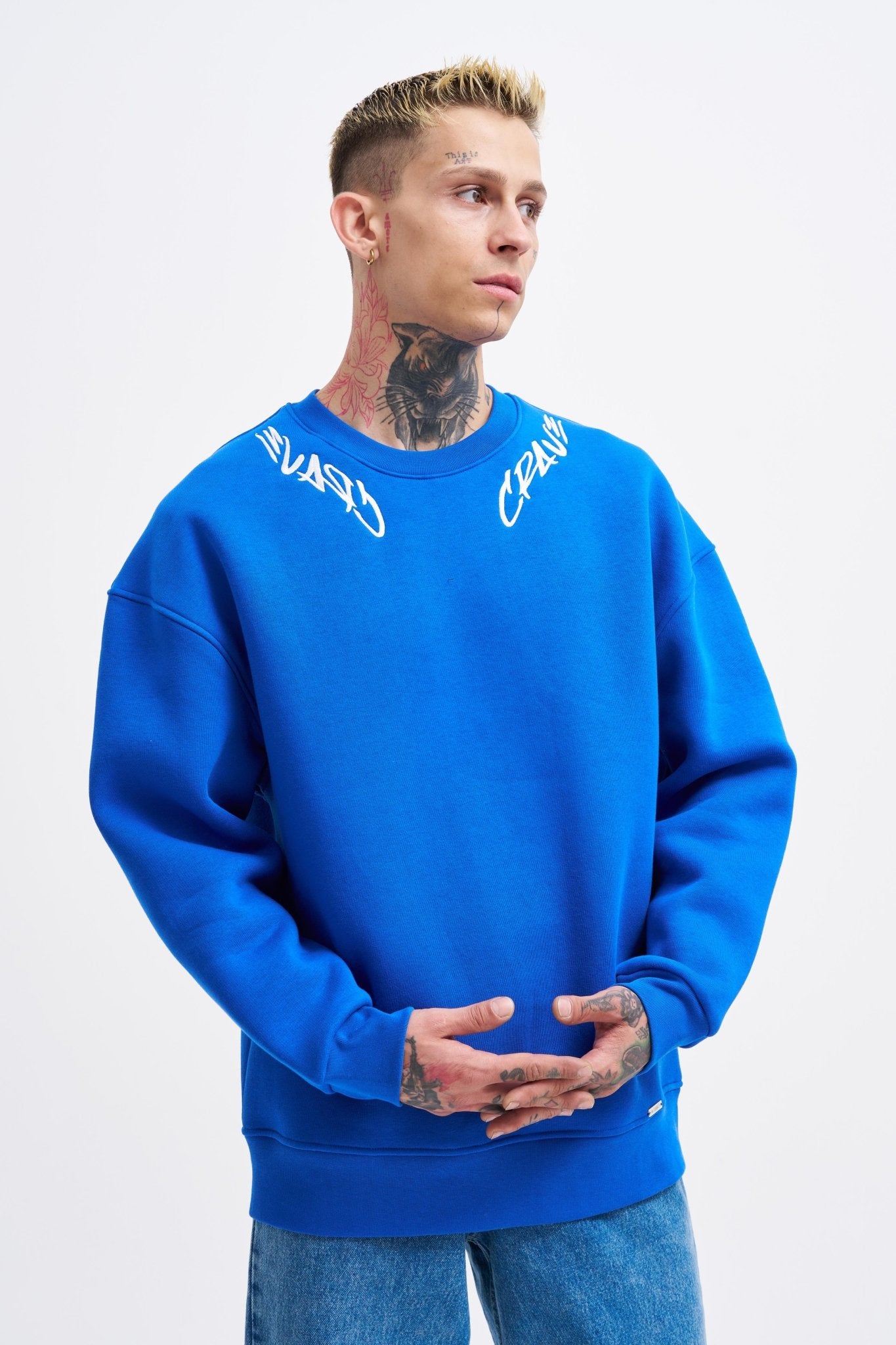 Erkek Collar Embroidery Detail Sweatshirt Açık Mavi