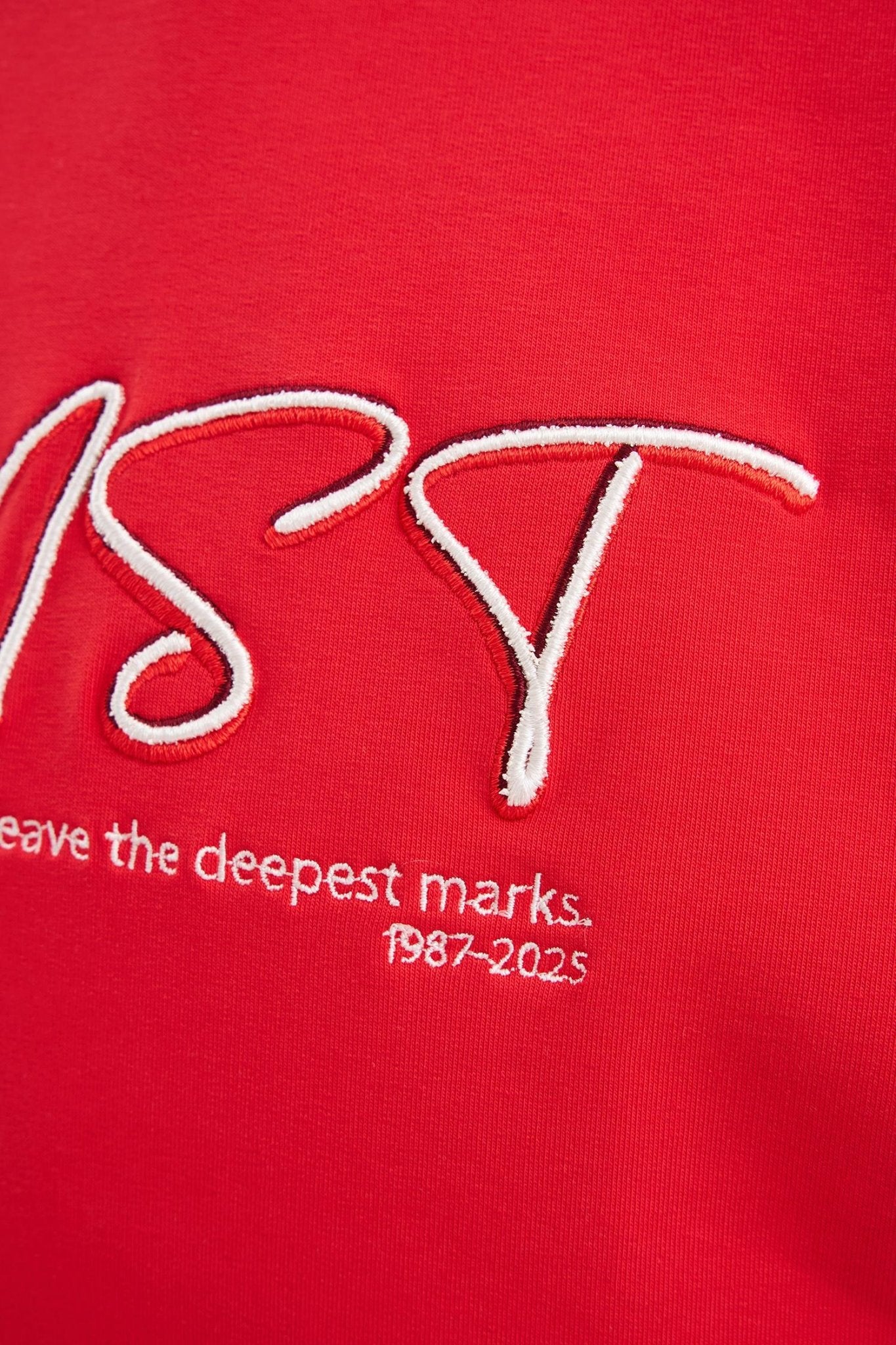 Erkek Colored and Technical Embroidered Oversize Tişört Bordo