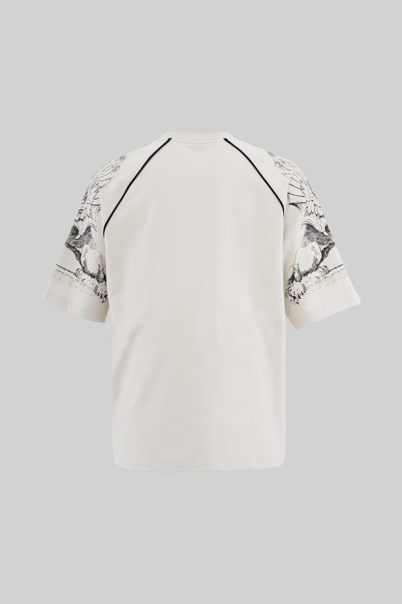 Erkek Hippogriff Raglan Oversi̇ze Ti̇şört Uzay Grisi