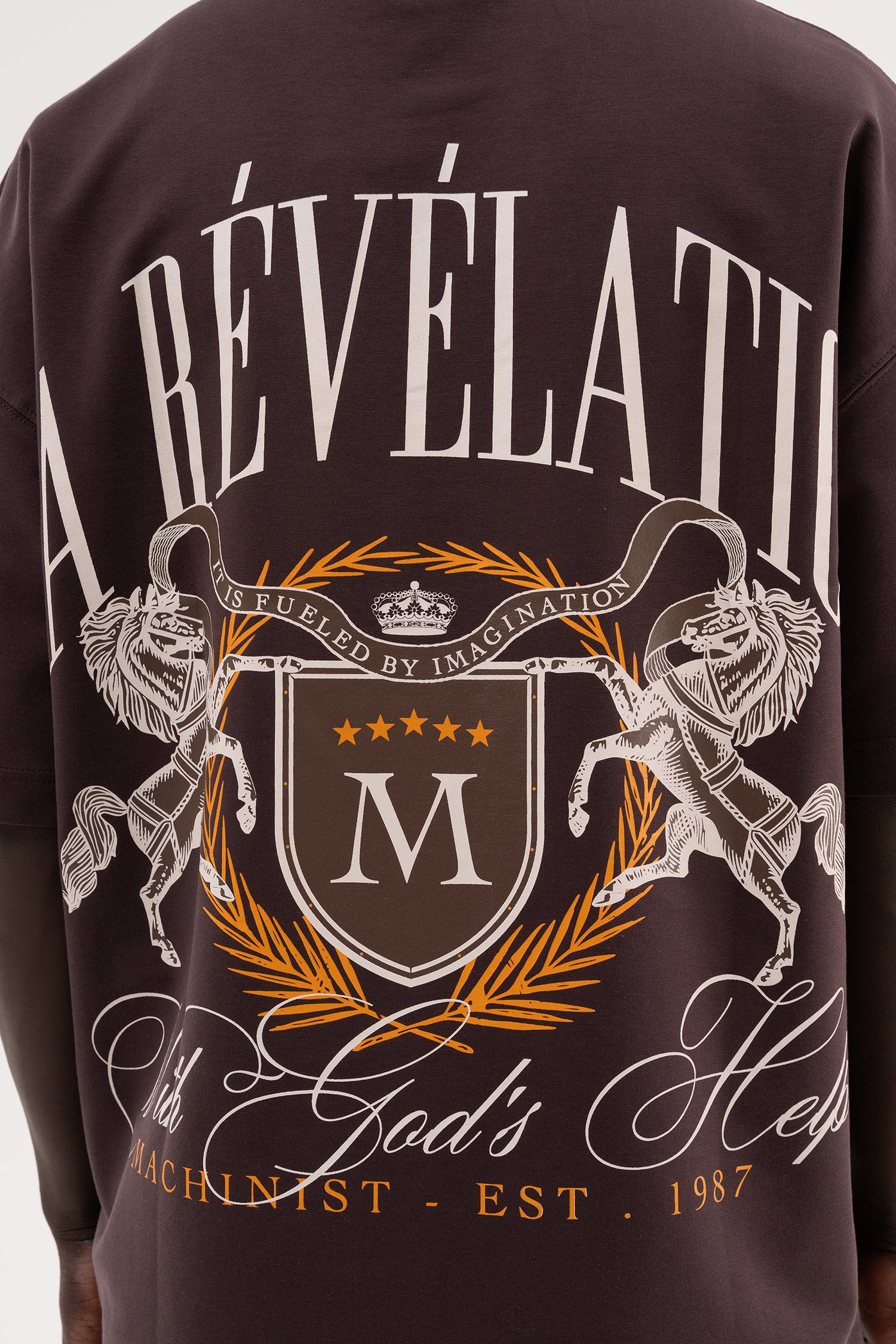 Erkek La Revelation Printed Oversi̇ze Ti̇şört Kahverengi-8