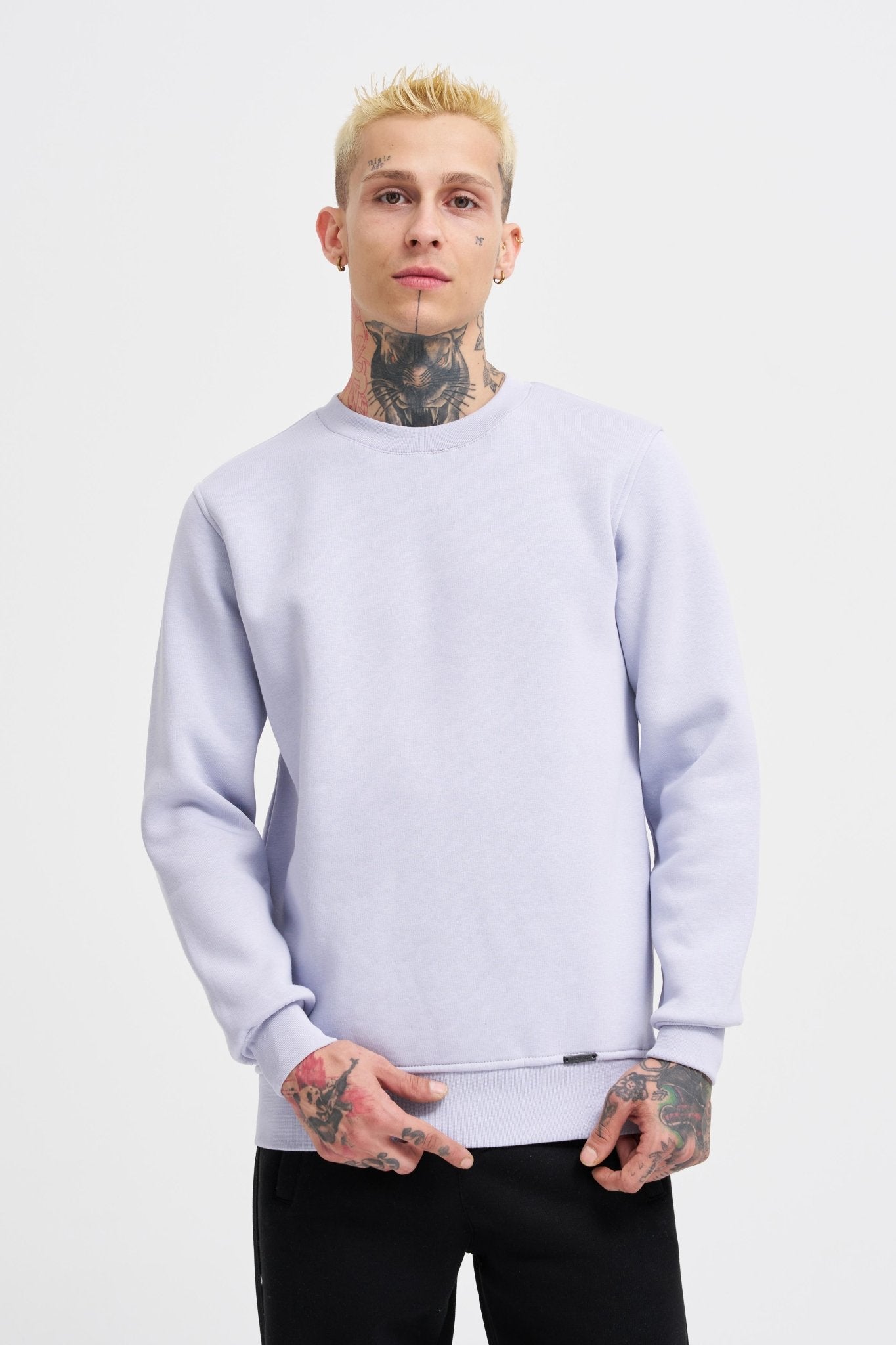Erkek Regular Bisiklet Yaka Basic Sweatshirt Açık Lila