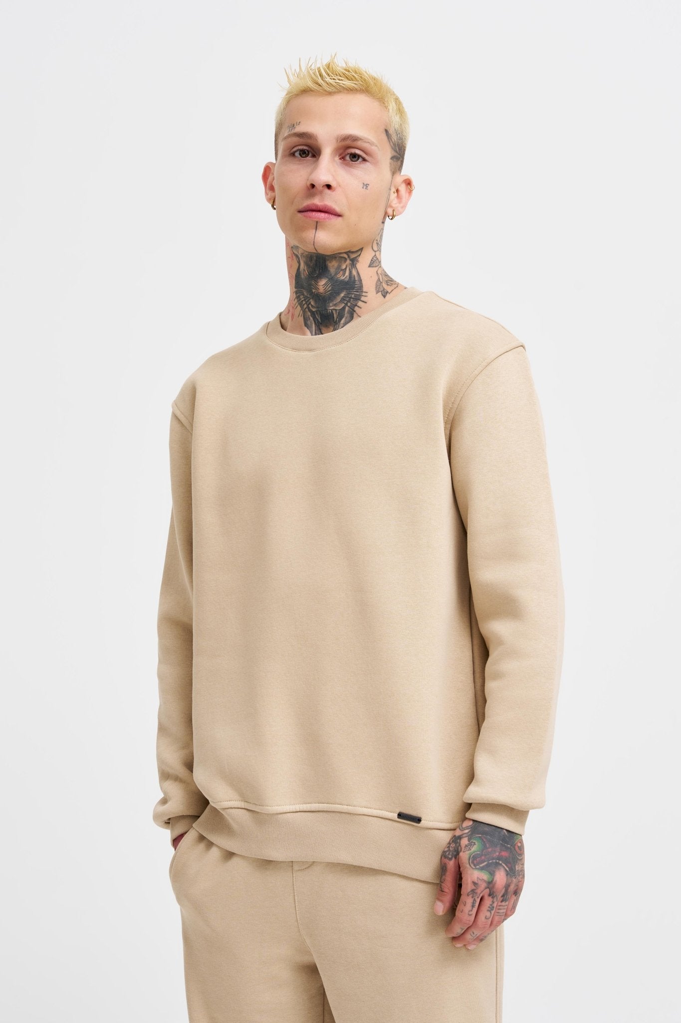 Erkek Regular Bisiklet Yaka Basic Sweatshirt Bej