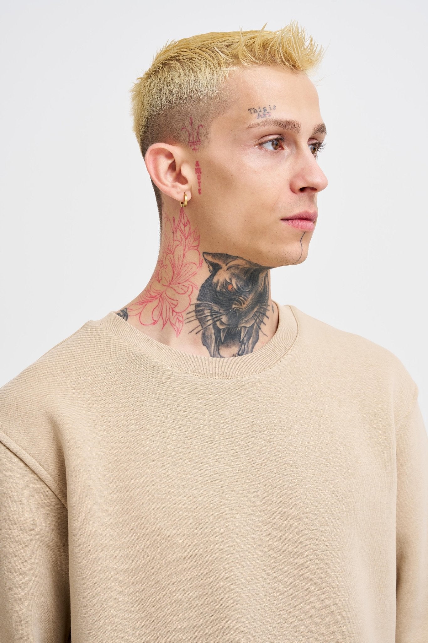 Erkek Regular Bisiklet Yaka Basic Sweatshirt Bej