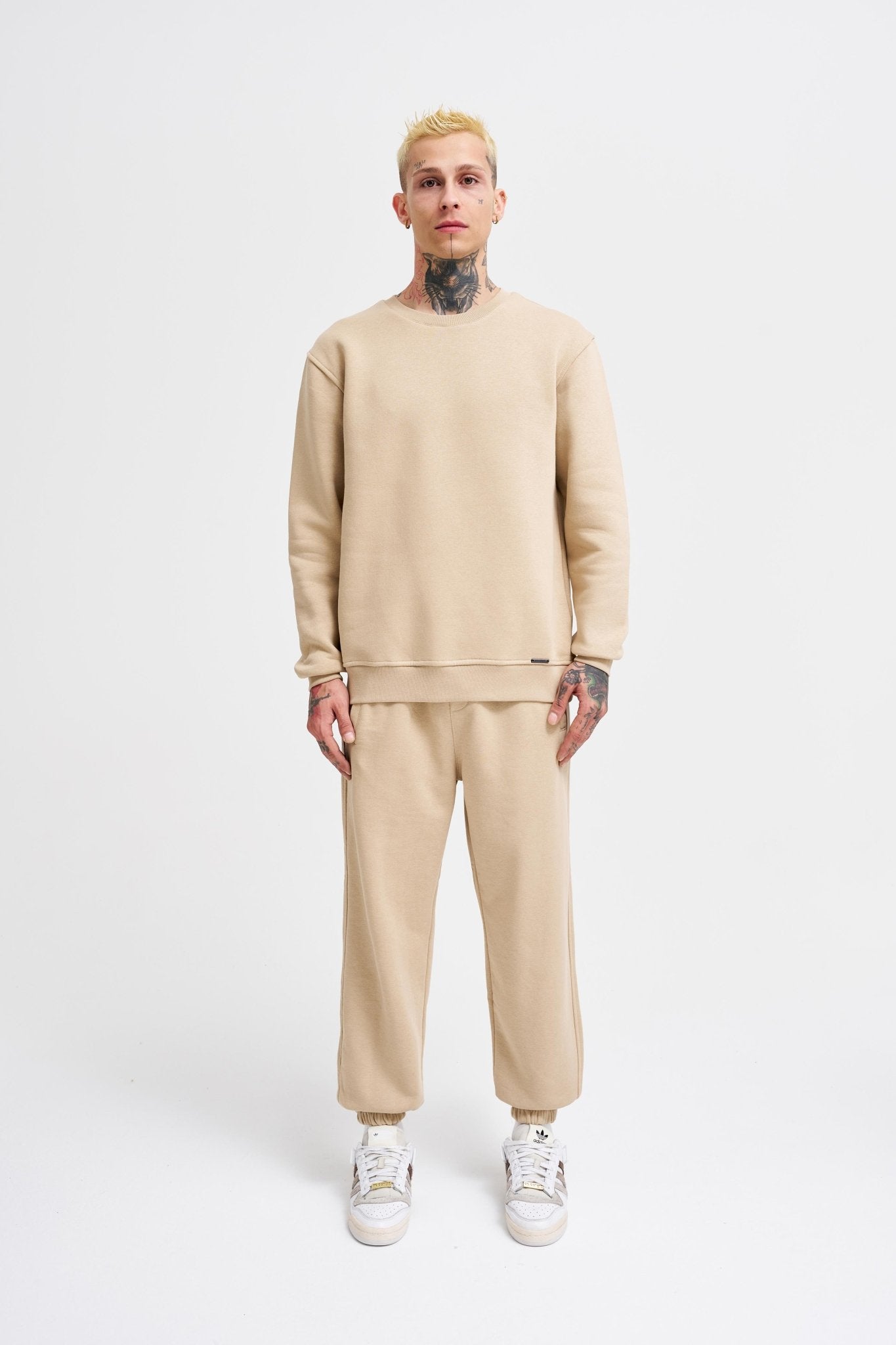 Erkek Regular Bisiklet Yaka Basic Sweatshirt Bej
