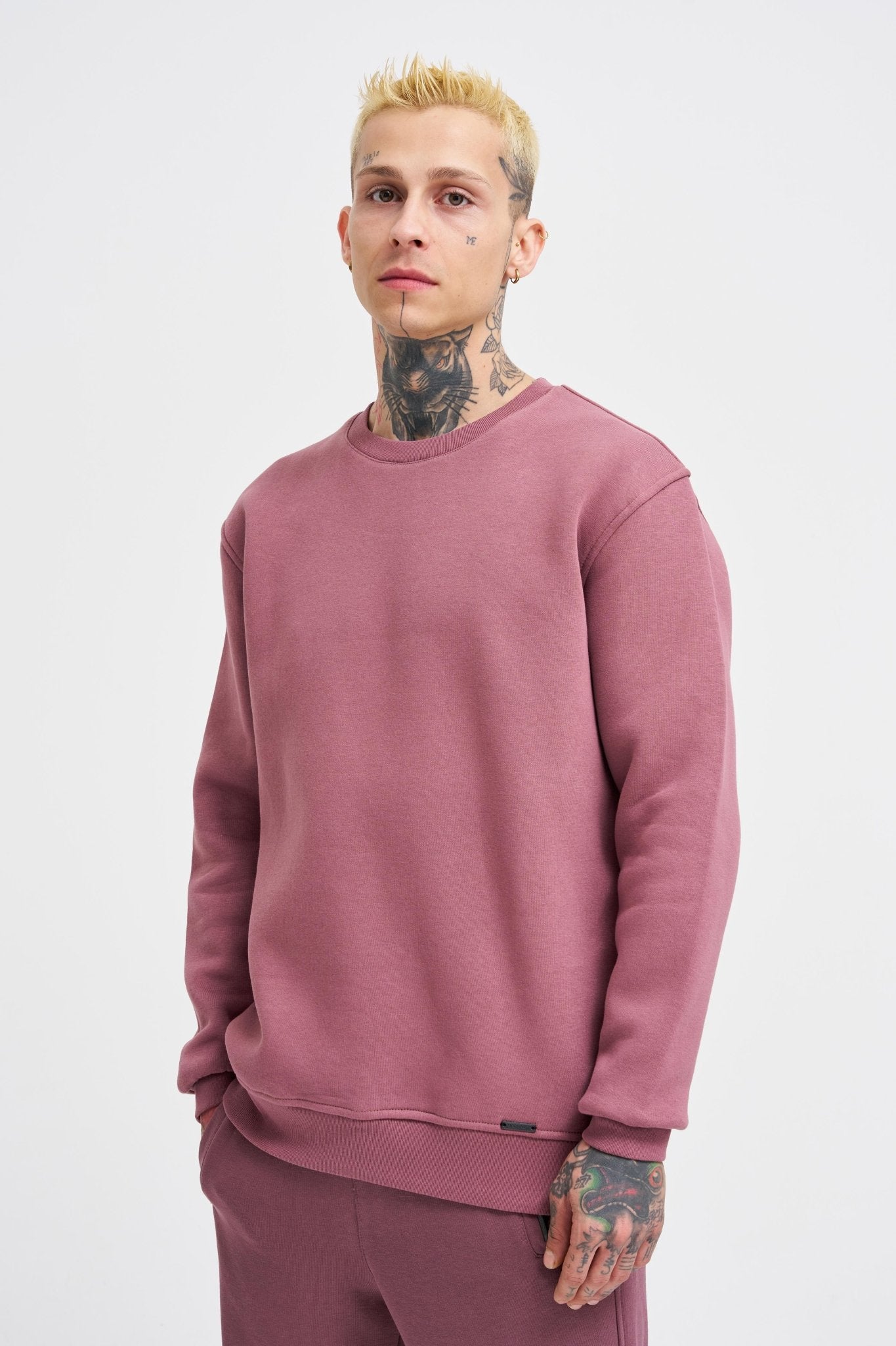 Erkek Regular Bisiklet Yaka Basic Sweatshirt Mürdüm