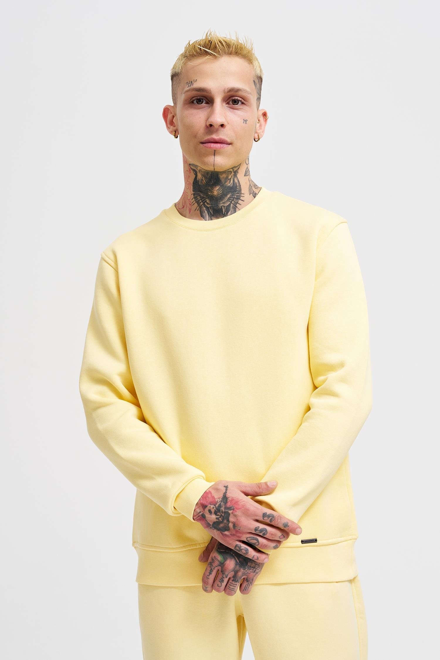 Erkek Regular Bisiklet Yaka Basic Sweatshirt Sarı