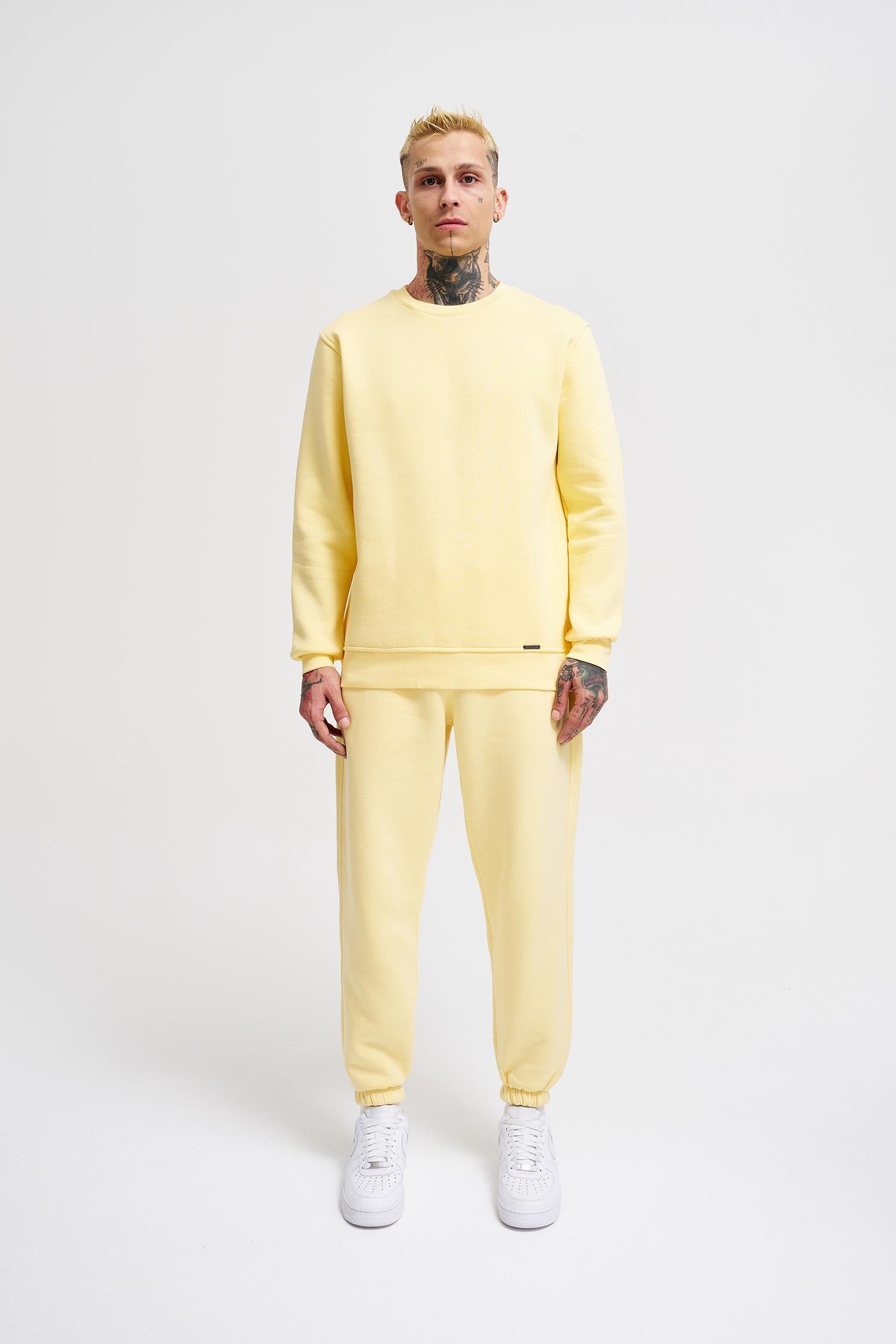 Erkek Regular Bisiklet Yaka Basic Sweatshirt Sarı